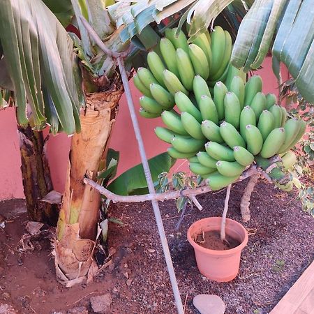 Casita La Gomera San Sebastián de la Gomera Екстериор снимка