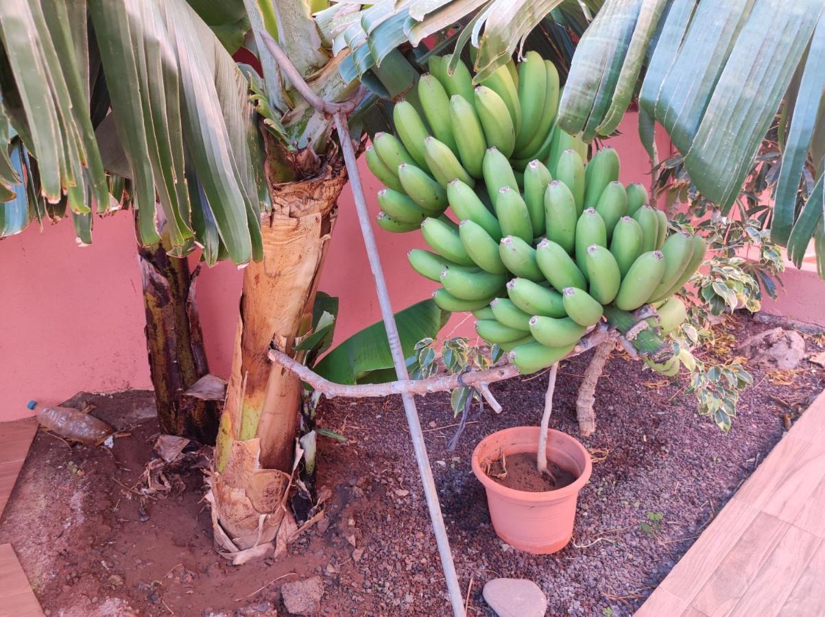 Casita La Gomera San Sebastián de la Gomera Екстериор снимка